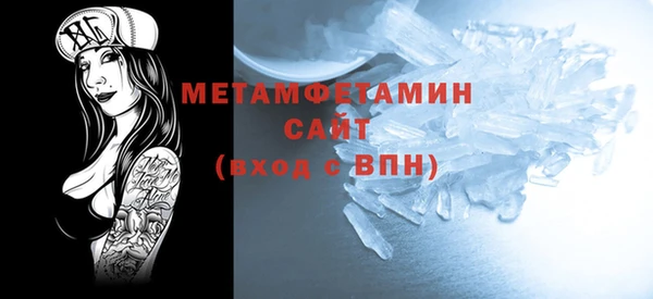 прущие грибы Ельня