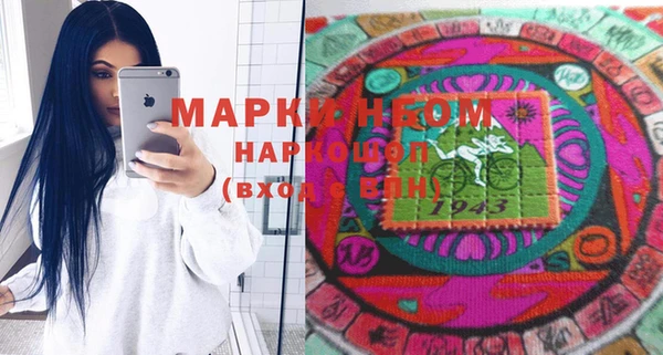 прущие грибы Ельня