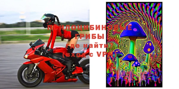 шишки Зерноград