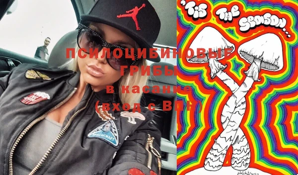 мдпв Заволжск