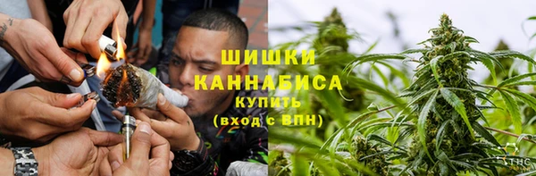ГАЛЛЮЦИНОГЕННЫЕ ГРИБЫ Елабуга